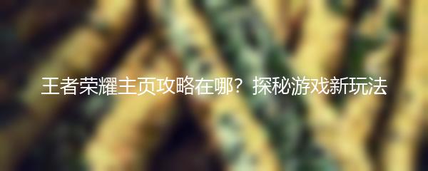 王者荣耀主页攻略在哪？探秘游戏新玩法