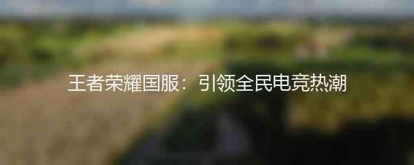 王者荣耀国服：引领全民电竞热潮