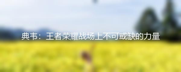 典韦：王者荣耀战场上不可或缺的力量