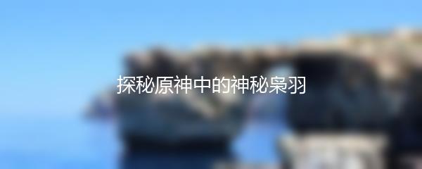 探秘原神中的神秘枭羽