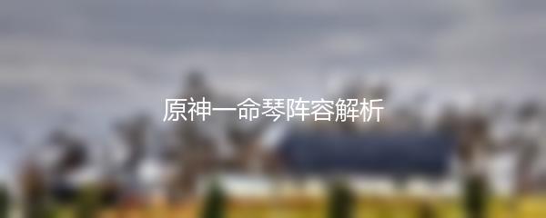 原神一命琴阵容解析