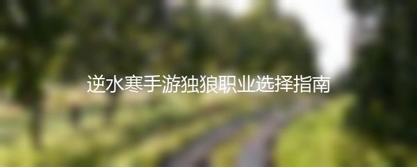 逆水寒手游独狼职业选择指南
