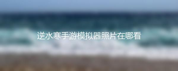 逆水寒手游模拟器照片在哪看