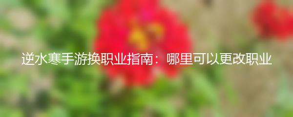 逆水寒手游换职业指南：哪里可以更改职业