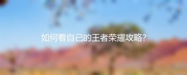 如何看自己的王者荣耀攻略？