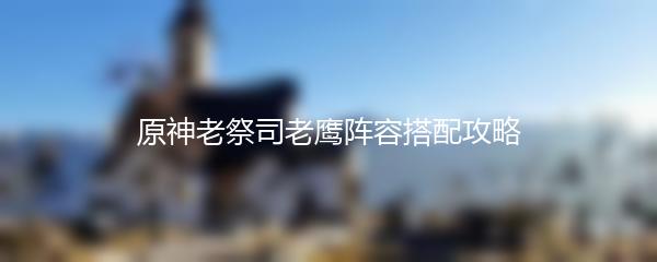 原神老祭司老鹰阵容搭配攻略