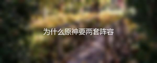 为什么原神要两套阵容