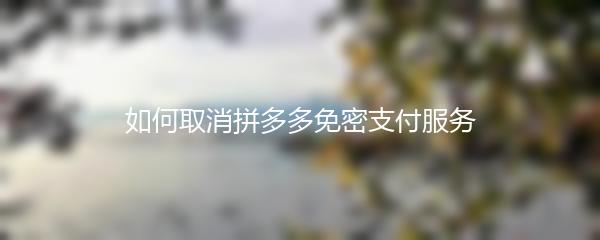 如何取消拼多多免密支付服务