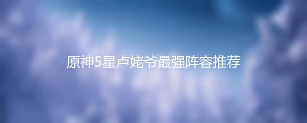 原神5星卢姥爷最强阵容推荐