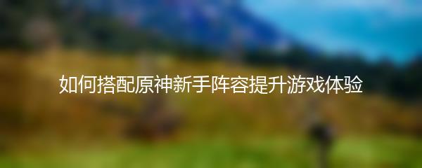 如何搭配原神新手阵容提升游戏体验