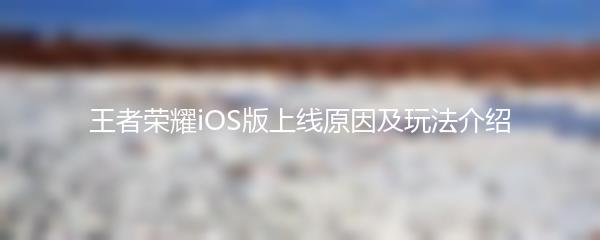 王者荣耀iOS版上线原因及玩法介绍