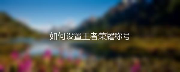 如何设置王者荣耀称号