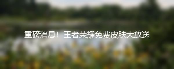 重磅消息！王者荣耀免费皮肤大放送