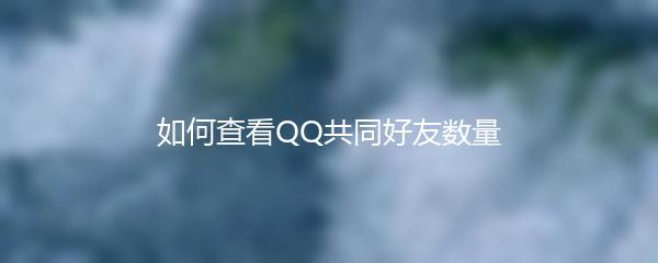 如何查看QQ共同好友数量