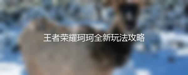 王者荣耀珂珂全新玩法攻略