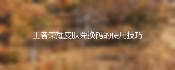 王者荣耀皮肤兑换码的使用技巧