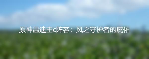 原神温迪主c阵容：风之守护者的庇佑