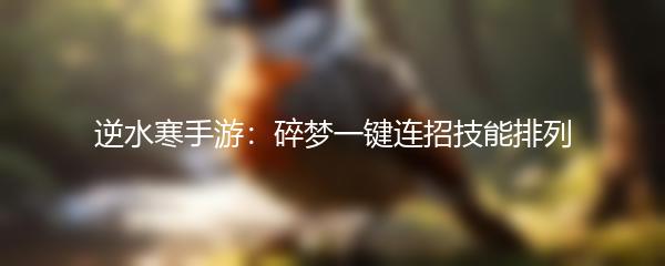 逆水寒手游：碎梦一键连招技能排列