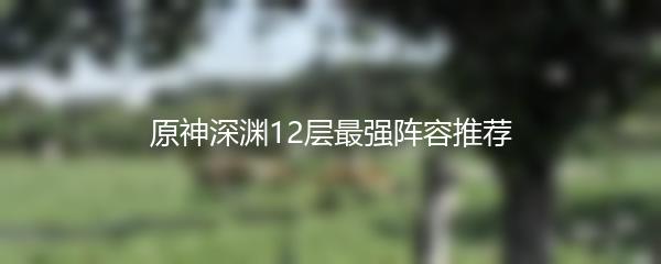 原神深渊12层最强阵容推荐