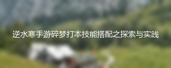 逆水寒手游碎梦打本技能搭配之探索与实践