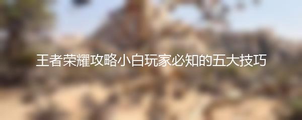 王者荣耀攻略小白玩家必知的五大技巧