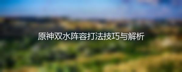 原神双水阵容打法技巧与解析