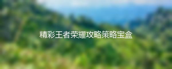 精彩王者荣耀攻略策略宝盒