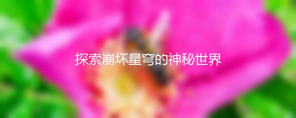 探索崩坏星穹的神秘世界