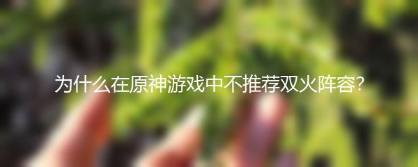 为什么在原神游戏中不推荐双火阵容？