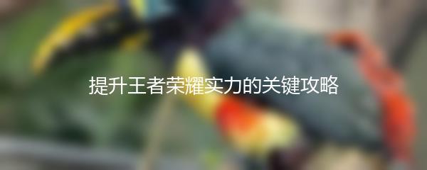 提升王者荣耀实力的关键攻略
