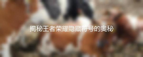 揭秘王者荣耀隐藏符号的奥秘