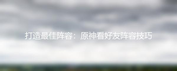 打造最佳阵容：原神看好友阵容技巧