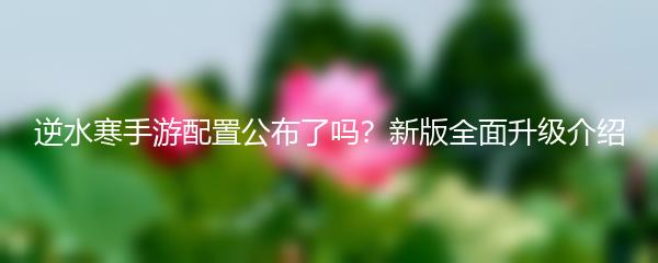 逆水寒手游配置公布了吗？新版全面升级介绍