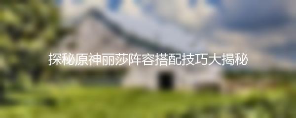 探秘原神丽莎阵容搭配技巧大揭秘