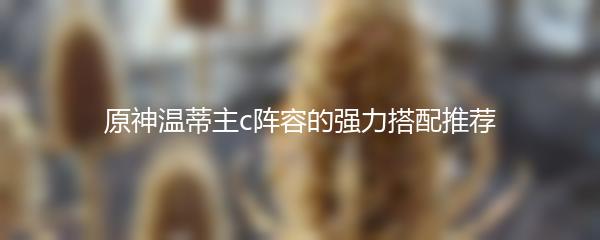 原神温蒂主c阵容的强力搭配推荐