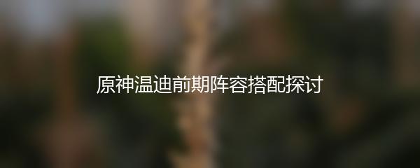 原神温迪前期阵容搭配探讨