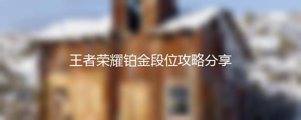 王者荣耀铂金段位攻略分享