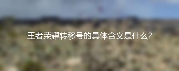王者荣耀转移号的具体含义是什么？