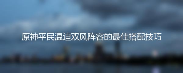 原神平民温迪双风阵容的最佳搭配技巧