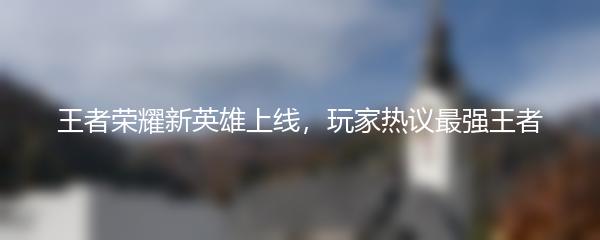 王者荣耀新英雄上线，玩家热议最强王者