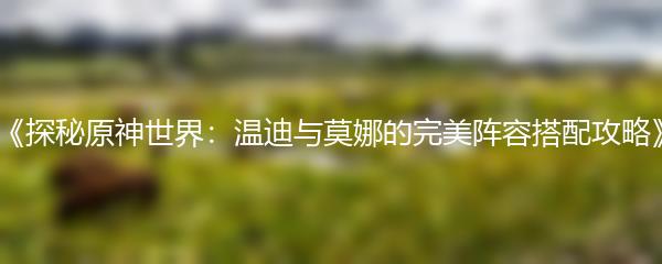 《探秘原神世界：温迪与莫娜的完美阵容搭配攻略》