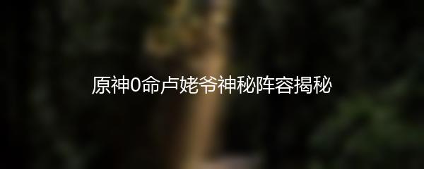 原神0命卢姥爷神秘阵容揭秘