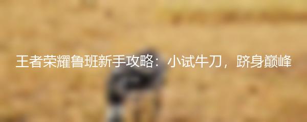 王者荣耀鲁班新手攻略：小试牛刀，跻身巅峰