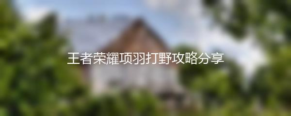 王者荣耀项羽打野攻略分享