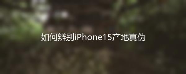 如何辨别iPhone15产地真伪