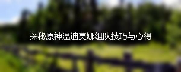 探秘原神温迪莫娜组队技巧与心得