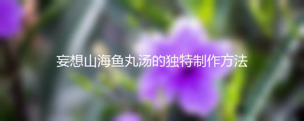 妄想山海鱼丸汤的独特制作方法