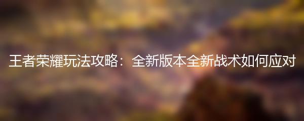王者荣耀玩法攻略：全新版本全新战术如何应对