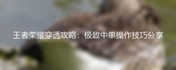王者荣耀穿透攻略：极致中单操作技巧分享
