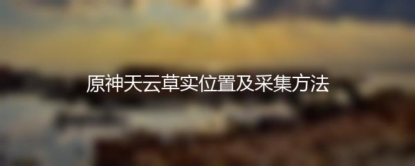 原神天云草实位置及采集方法